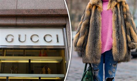 gucci animal cruelty|gucci bans rabbit fur.